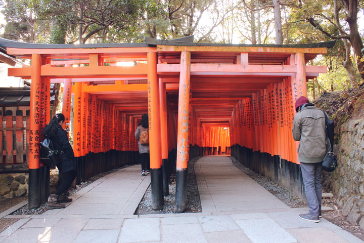 Fushimi Inari Torii Japan