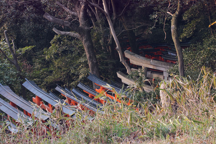 Fushimi Inari Torii Gates